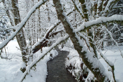 Kla-ta-wa hill winter