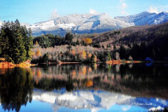 fall reflection