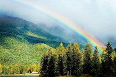 rainbow ©