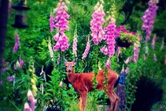Deer