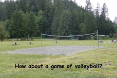 vollyball